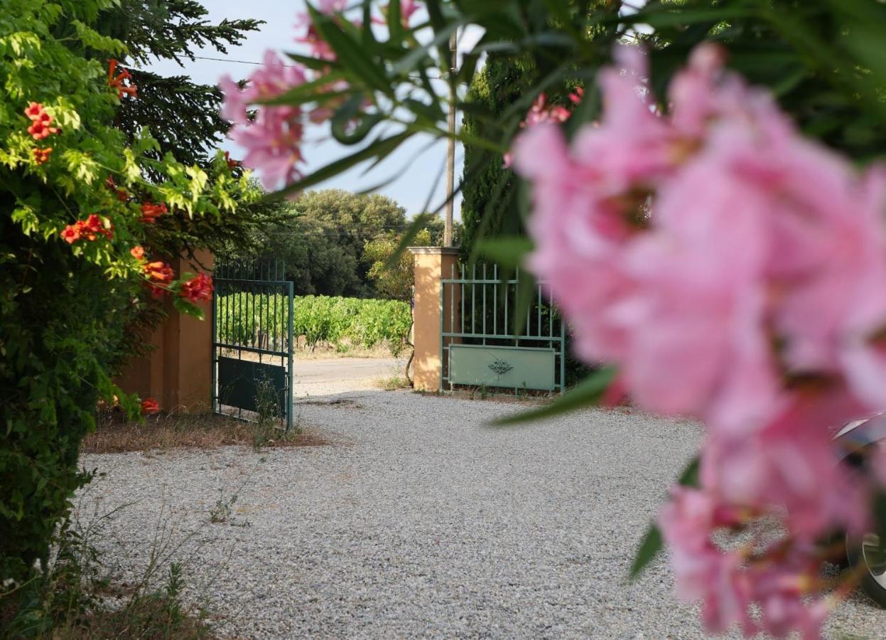 Maison D'Hotes Le Mas Des Vignes Hotel Rochegude  Eksteriør billede