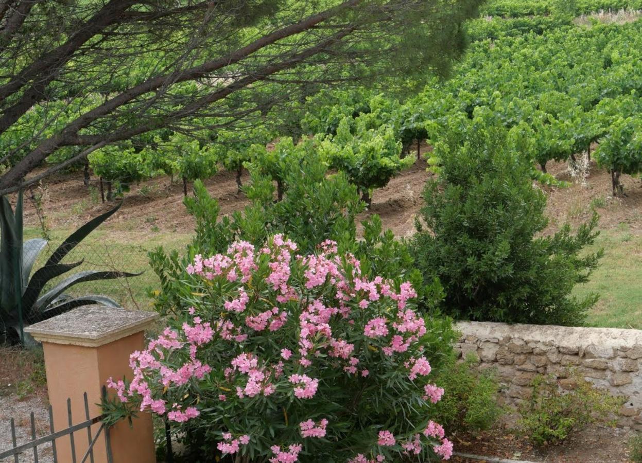 Maison D'Hotes Le Mas Des Vignes Hotel Rochegude  Eksteriør billede