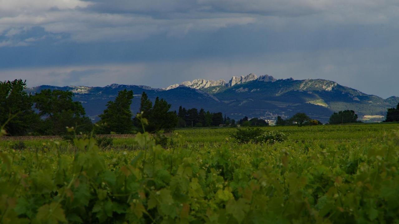 Maison D'Hotes Le Mas Des Vignes Hotel Rochegude  Eksteriør billede