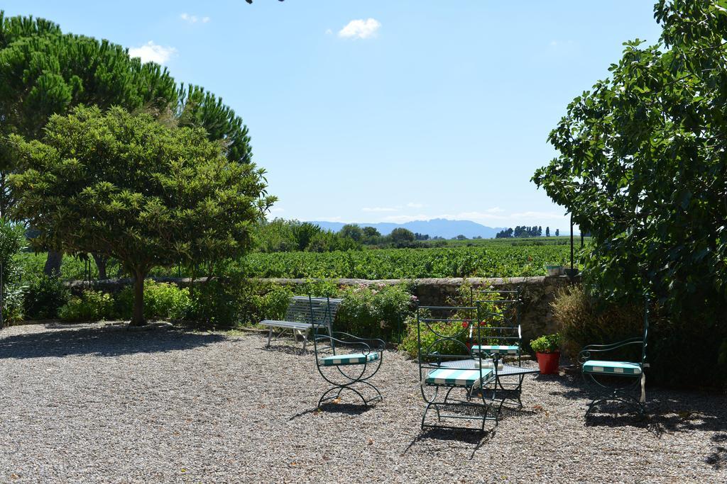 Maison D'Hotes Le Mas Des Vignes Hotel Rochegude  Eksteriør billede